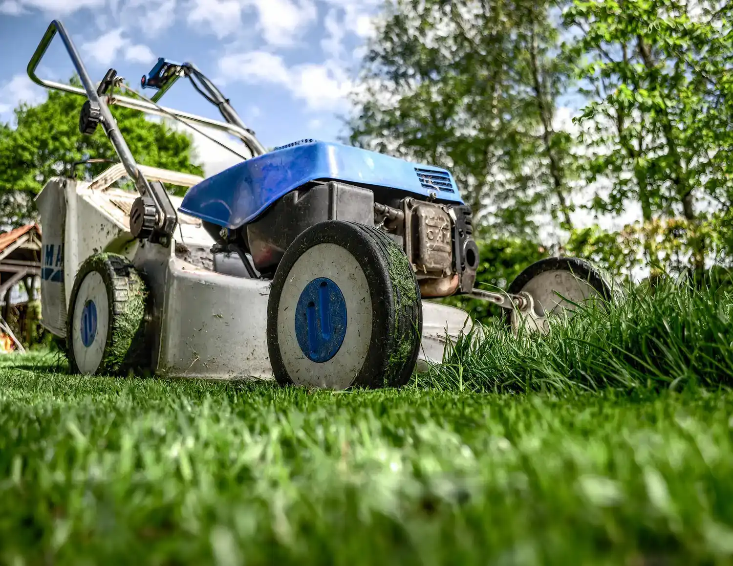lawn mower mowing grass